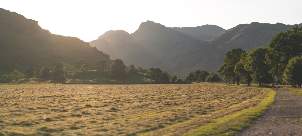 Walkers in Baysbrown Farm Meadow Langdale Valley